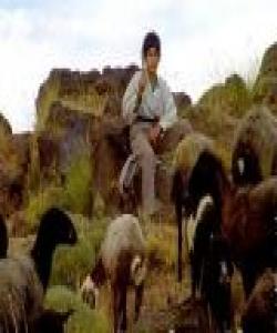 سوودهکانى مهڕوماڵات