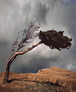 مانای زمانەوانی گێژەڵوكە (إعصار)..لهقورئاندا