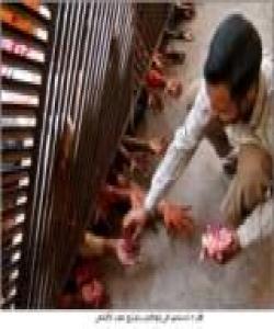 برسێتى ڕووى کرده پایتهخت :