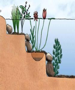 فاكته‌ره‌كانی سیسته‌می كشتوكاڵ (باران و خاك و رووه‌ك )