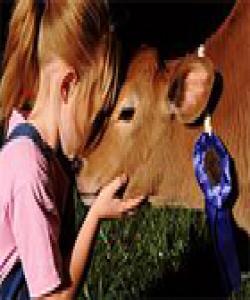 سوودهكانی مهروماڵات