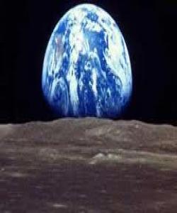 جیاوازی سروشتی زهوی