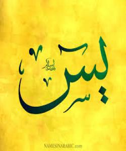 هۆی دابەزینی ئایەتی (٧٧) ی سورەتی (يس) : { أَوَلَمْ يَرَ ٱلْإِنسَٰنُ أَنَّا خَلَقْنَٰهُ مِن نُّطْفَةٍۢ فَإِذَا هُوَ خَصِيمٌ مُّبِينٌ. }