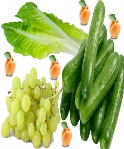 ئهو خۆراکانهى تینوێتى و گهرما کهمدهکهنهوه