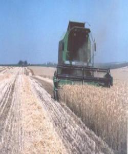 خاكیش وهك ووڵاتێك وایه!