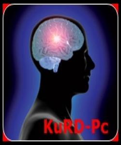 چارهسهری ههسته سهلبیهكان