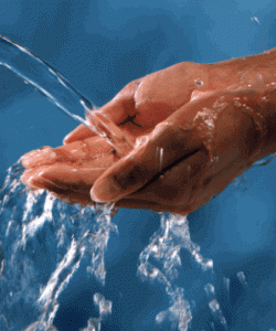 باسی ئاو بەچی پیس دەبێت...فیقه