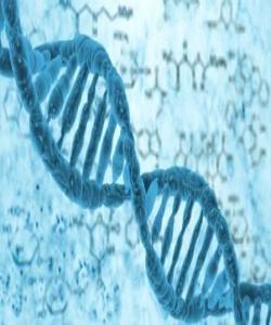 دۆزینهوهی تازه ..اعجاز