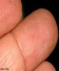 پێناسى مرۆڤـ له مۆرى سهرى پهنجهكانیدایه له قورئاندا