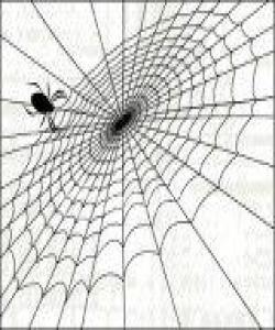 ئیعجازى دروست بوونى مالى جاڵجالۆکه