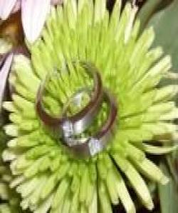 دوانه‌یی وپیتێن له‌ روه‌كه‌كاندا