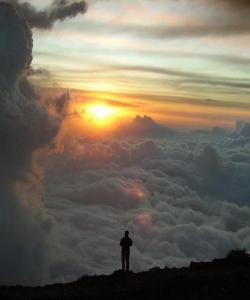 ژیان وهک خۆى بۆى بڕۆ