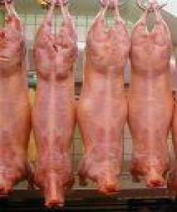 گۆشتی مردارەوە بوو و خوێن ... له قورئاندا