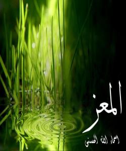 ٢٤ – الـمـُعّـِزْ