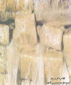 ئهو ههلآنهى پهیوهندیان به دهستنوێژهوه ههیه. (١٩) دهستنوێژ نهگرتن بهئاوی زهمزهم ( له جیاتیدا تهیهمموم كردن):