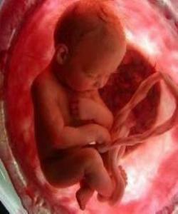 تەبابونی هۆرمۆنی لەسەرەتای سورەتی (مریم) دا ..له قورئاندا