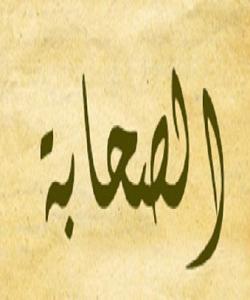 ( خالیدی کوڕی سهعد ) فیداکارێکی یهکهم دهسته. (بهشی ٣)