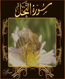 هۆی دابەزینی ئایەتی (١١٠) سورەتی (النحل) :{ثُمَّ إِنَّ رَبَّكَ لِلَّذِينَ هَاجَرُوا مِنْ بَعْدِ مَا فُتِنُوا ثُمَّ جَاهَدُوا وَصَبَرُوا إِنَّ رَبَّكَ مِنْ بَعْدِهَا لَغَفُورٌ رَحِيمٌ }