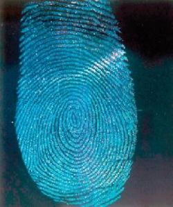 پێناسی مرۆڤـ لە مۆری سەری پەنجەکانیدایە... له قورئاندا