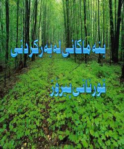 بنهماكانی لهبهركردنی قورئانی پیرۆز