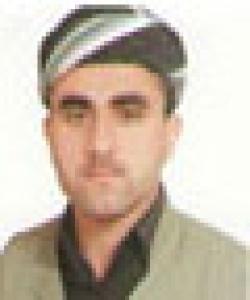 قورئان شیفایه