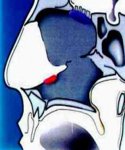 بۆنی مرۆڤ وەك ناسینەوە... له قورئاندا