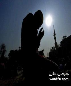 بۆچى رۆژوو بگرین