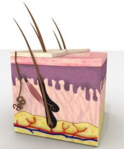 فشاری دەروونی و شێرپەنجەی پێست...لهقورئاندا