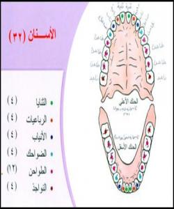 اللسان (زمان) (10) ده مهخرهجی ههیه: