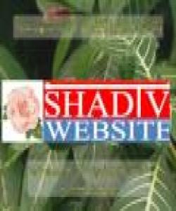 چهند ئایهتیكى سورهتى بهقهره به ڤیدیۆ به تهفسیرى كوردى