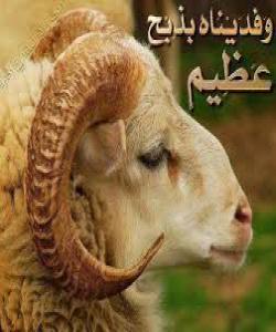 موعجیزهکانى پێغهمبهران سڵاوى خودایان لهسهربێت....... موعجیزهى بهرانى ئیسماعیل سلآوى خواى لهسهربێ..........(2)