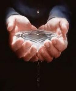 (زوهد) کردن له دونیا