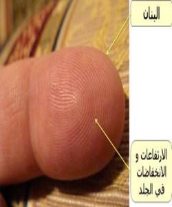 مۆری سهرپهنجهی هیچ كهسێك له كهسێكی تر ناچێت: