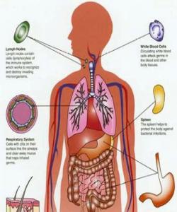 زانستى سهردهم باس له سوودهكانى رۆژوو گرتن دهكات