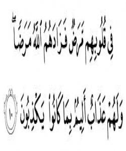 (فِي قُلُوبِهِم مَّرَضٌ فَزَادَهُمُ اللّهُ مَرَضاً )[البقرة : 10].......