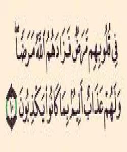 (فِي قُلُوبِهِم مَّرَضٌ فَزَادَهُمُ اللّهُ مَرَضاً ][البقرة : 10]...