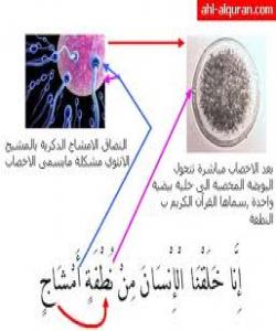 ئاوێتهى مهنى