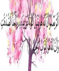 فراوانی بازنه ی لێبوردن