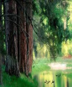 قورئان باسی دوو باخات ده‌كات بۆ خه‌ڵكی(سه‌به‌ء ) دۆزینه‌وه‌كانیش ڕاستی قورئان ده‌سه‌لمێنن :