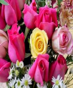 لهگوڵزارى فهرموودهکانى پێغهمبهر (صلى الله عليه وسلم)بۆ ئافرهتانى ڕێزدار.....دهربارهى سڵاوى خواى گهوره له خهدیجه ى هاوسهرى پێغهمبهر صلى الله علیه وسلم:..