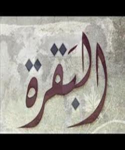 هۆى دابهزینى ئایهتى (113) البقره (وَقَالَتِ الْيَهُودُ لَيْسَتِ النَّصَارَى عَلَى شَيْءٍ)