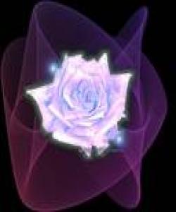 لهگولزارى فهرموودهکانى پیغهمبهر (صلى الله عليه وسلم)بۆ ئافرهتانى رێزدار:...