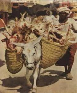 لە مانگی ڕەمەزاندا حیسابی دەکەم(چیرۆك)