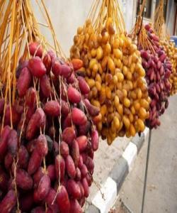 ئیعجازی بهربانگ كردنهوه به خورما