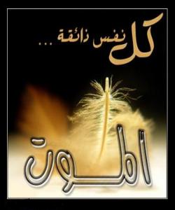 (نوره) ی خوشكم مرد