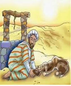 بهزهیی هاتنهوه به گیانلهبهران دهبێته هۆی لێ خۆشبوون