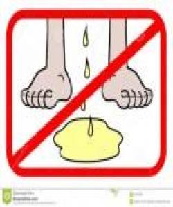 باسی ئەگەر زەوی میزی بەربكەوێت...فيقه