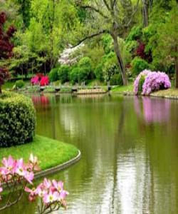 بهقوڵى ههناسه بکێشه