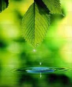 ههرچیت بۆ دهکرێت بیکه