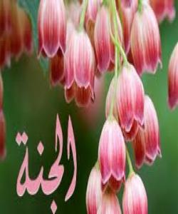 ناوهکانى بهههشت